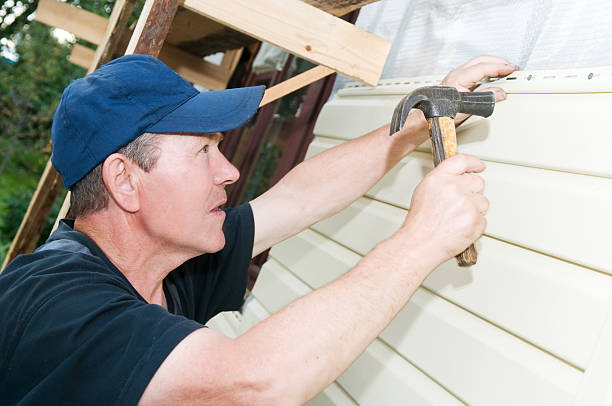 Affordable siding repair and maintenance services in Boyceville, WI