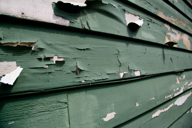 Best Storm Damage Siding Repair  in Boyceville, WI