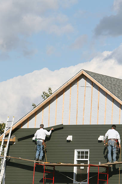 Best Historical Building Siding Restoration  in Boyceville, WI