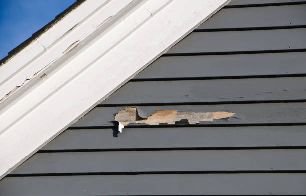 Best Residential Vinyl Siding Installation  in Boyceville, WI