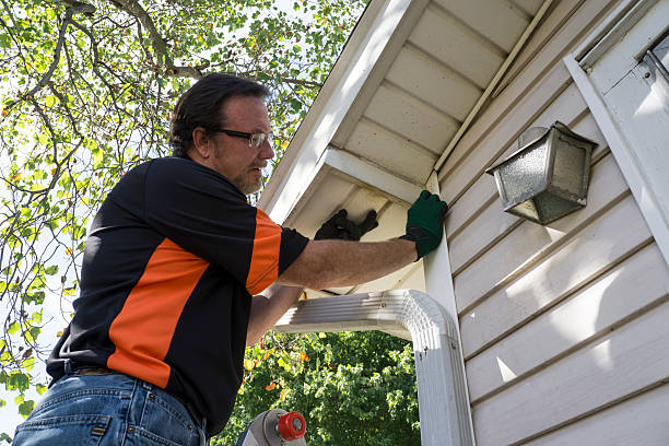 Best Steel Siding Installation  in Boyceville, WI
